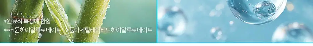 [2025어워즈] 브링그린 대나무 히알루 립 에센스 (2입/4입/기획) 상세페이지 19